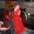 DSCN4018