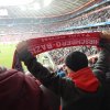 05.11.2016: FC Bayern - Hoffenheim 1:1 (Bundesliga Heim)
