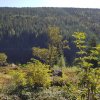 20.09.2019: Familien-Hüttenwochenende in Lohberg/Arber
